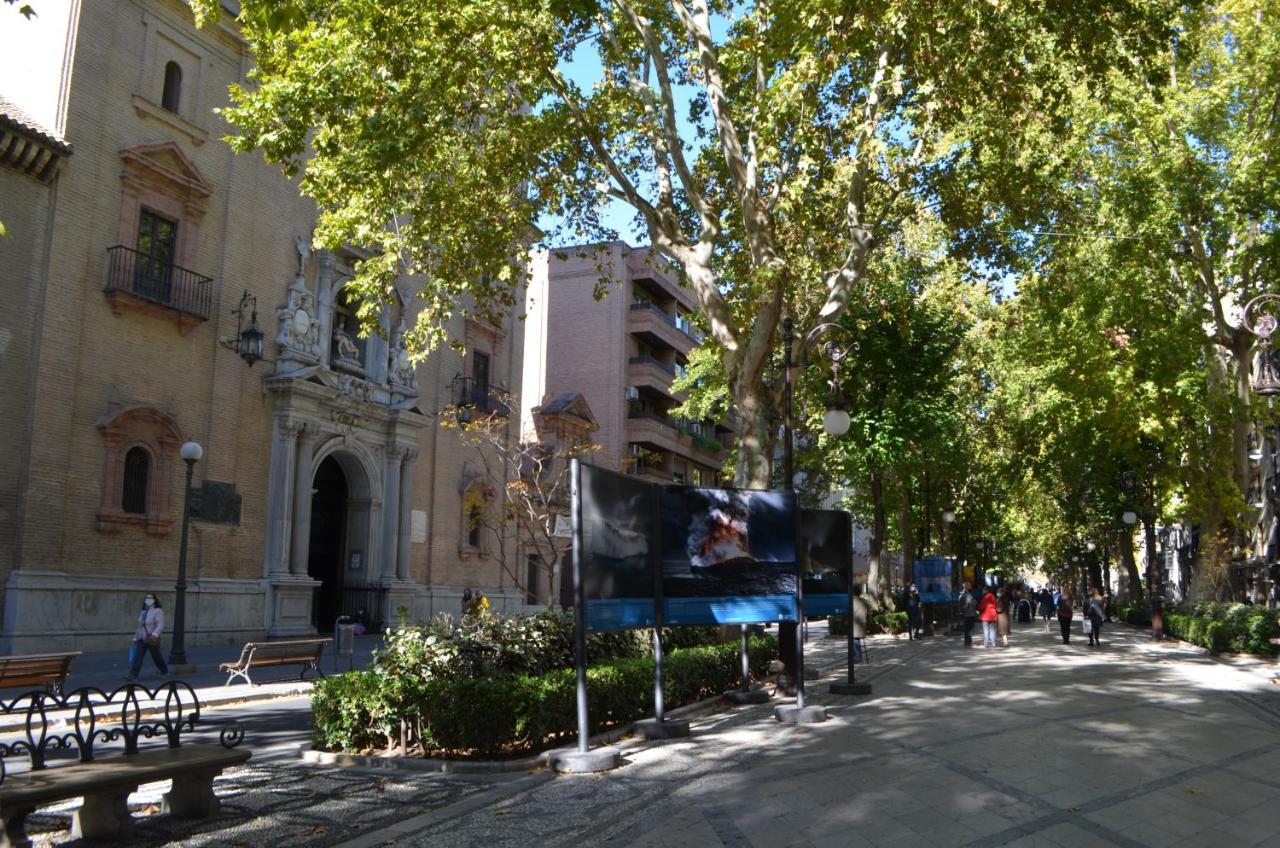 Carmela Suites Apartamento De Dos Dormitorios 格拉纳达 外观 照片